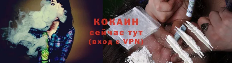 kraken как зайти  Вытегра  Cocaine FishScale 