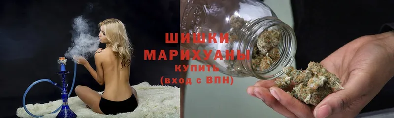 Бошки марихуана план  Вытегра 